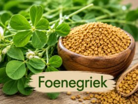 Foenegriek