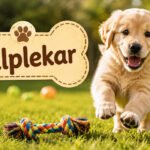 Valplekar